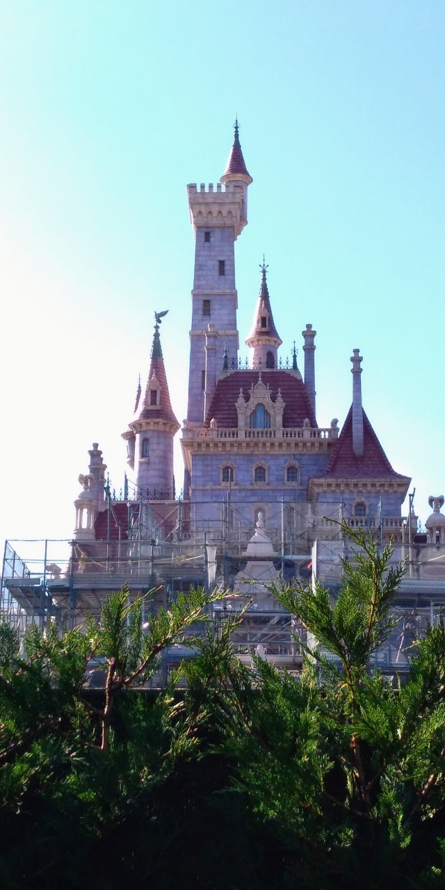 年末のネズミーランド 19 東京ディズニーリゾート 千葉県 の旅行記 ブログ By Ajyaさん フォートラベル 年末のネズミーランド 19 東京ディズニーリゾート 千葉県 の旅行記 ブログ By Ajyaさん フォートラベル