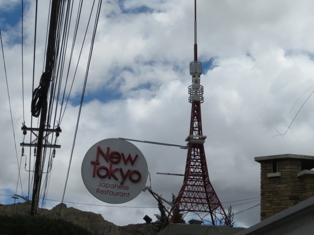 2019年~2020年の年末年始休暇は9連休。年末年始が9連休はしばらくなさそう&遠くて体力の必要そうな南米へは少しでも若いうちに行く方が良いかと思い、思い切って行ってきました!都内で前泊&ボリビア+ペルーのチチカカ湖を含めた10日間の旅行記です。