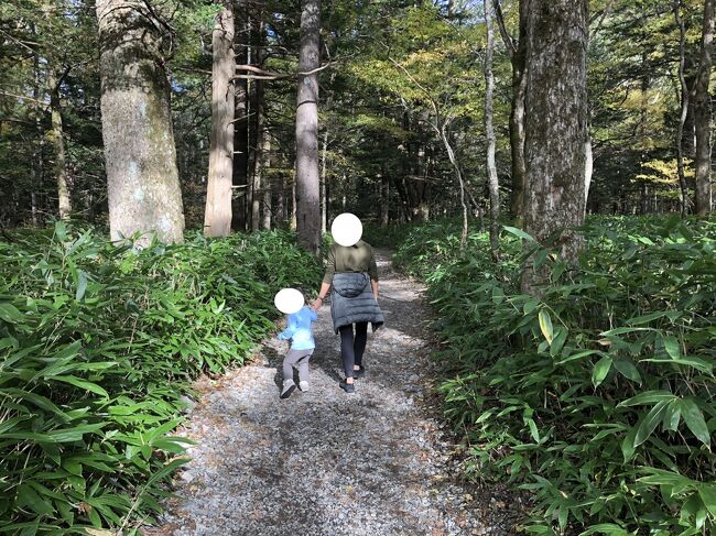 新型コロナウイルス騒ぎで旅行に行けず、過去の旅行をアップすることにしました。2018年10月の上高地訪問です。<br /><br />もともとは妻の父親である義父も同行する予定が、台風による欠航で義父が急遽来れなくなった旅行でした。また、うちは幼児連れ(3歳)でもありますので、高齢者や幼児がいても無理のない上高地(とその周辺)の散策スケジュールを組んだらこうなりました、といった感じです。<br /><br />3歳児は結果的には、4kmほど歩き、その日の夕食は爆食いでした。。。<br /><br />10/6(土)<br />・新宿18:00発の特急スーパーあずさにて松本まで。車中で夕食。<br />・松本のリッチモンドホテルに宿泊。<br /><br />10/7(日)<br />・松本駅8:41発のアルピコ交通(電車)で新島々まで。そこからバスで上高地の帝国ホテル前で下車(10:30頃)。<br />・ホテル(上高地温泉ホテル)に荷物を置きつつ、河童橋まで散策。<br />・レストラン小梨で昼食。<br />・河童橋の少し先まで散策し、バスターミナルまで戻る。<br />・タクシーで大正池ホテル付近まで行き、上高地温泉ホテルまで田代池など散策しながら戻る。<br /><br />10/8(月)<br />・タクシーで平湯温泉バスターミナルまで行き、そこからバスで新穂高ロープウェイに。<br />・展望台を見た後、バスで平湯温泉まで戻り、そこからタクシーで新島々駅まで。松本駅まで電車で行き、14:49発の特急あずさで新宿へ戻る。