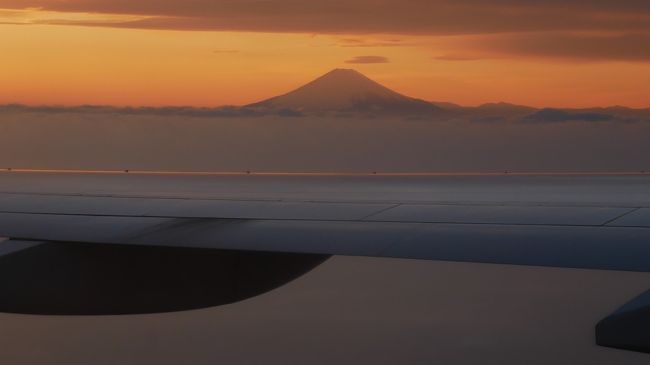 ハノイから帰国した翌日に友人が先に行っているバンコクに出発しました。航空券の購入が1ヶ月前を切っていて、最安が中部乗継でFOPもちょっとだけ稼げるかなと思い決めました。<br />今回も、宿泊はヒルトンオナーズポイントを増やすために1泊ずつ3滞在にしてしまいました。<br />では、何の変哲もない復路をどうぞ。2月全14フライトの11フライト目です。<br /><br />《往路》<br />20/02/12 JL201 東京(羽田) 07:30発 名古屋(中部) 08:30着 19A:普通席<br />20/02/12 JL737 名古屋(中部) 11:35発 バンコク 16:05着 45K:Yエコノミー<br />★《復路》<br />20/02/15 JL032 バンコク 09:55発 東京(羽田) 17:30着 57A:Yエコノミー<br /><br />《訪問ラウンジ》<br />【羽田国際空港】<br />・JAL国内線ダイヤモンド・プレミアラウンジ<br />【中部国際空港】<br />・スターアライアンスラウンジ<br />・JAL国際線サクララウンジ<br />★【スワンナプーム国際空港】<br />・オマーン航空ラウンジ<br />・キャセイパシフィックラウンジ<br />・JALサクララウンジ<br />《滞在ホテル》<br />2/12(1泊) ダブルツリー バイ ヒルトン バンコク プルンチット<br />2/13(1泊) ヒルトン スクンビット バンコク<br />2/14(1泊) ダブルツリー バイ ヒルトン スクンビット バンコク