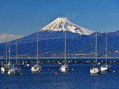 早春のお花見・富士山眺望ドライブ旅行（２）－長八美術館・伊那下神社・富士山眺望ドライブ等ー