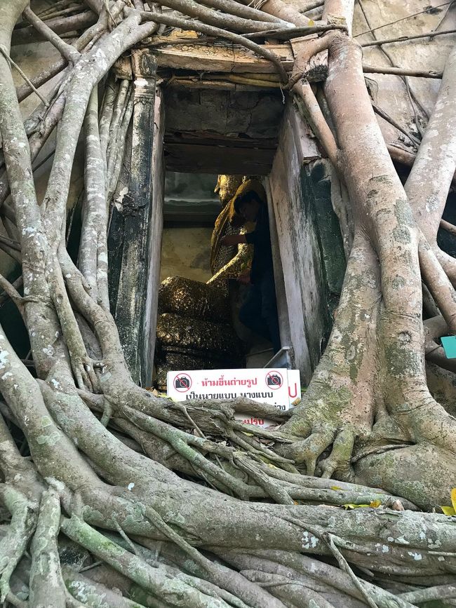 タイに始まり、ラオス、カンボジア、ベトナムと国境を渡り歩き、<br />最後は再びタイへ戻ってきた旅行11日目。<br />まだ見たことのない光景を求めてメークロン市場と<br />アンパワー水上マーケットへ。<br /><br />タイで長年住んだ結果、一般的な旅行者が受ける微笑みの国とは<br />程遠いイメージを持っている私。<br />そんな中、今回アンパワーのボートツアーで出会った<br />普通のタイ人の暖かいおもてなしに感激!<br />住んでいた時は嫌な所も沢山見てしまいましたが、<br />観光で来るにあたっては<br />やっぱりタイは微笑みの国と改めて実感しました。<br /><br />12/26 関空朝発→バンコク→ウドンターニ夕方着(ウドン泊/タイ)<br />12/27 タレーブアデーン→ウドン→ウボン(ウボン泊/タイ)<br />12/28 ウボン→国境→パクセー(パクセー泊/ラオス)<br />12/29 パクセー→チャンパーサック(チャンパーサック泊/ラオス)<br />12/30 チャンパーサック→国境→バンルン(バンルン泊/カンボジア)<br />12/31 バンルン→バイタク一日チャーター(バンルン泊/カンボジア)<br />01/01 バンルン→国境→プレイク→コントゥム(コントゥム/ベトナム)<br />01/02 自転車で伝統家屋巡り→コントゥム→(寝台バス泊/ベトナム)<br />01/03 →ダナン→ホイアン街歩き(ホイアン泊/ベトナム)<br />01/04 自転車でホイアン近郊へ→ダナン→バンコク(バンコク泊/タイ)<br />01/05 メークロン市場→アンパワー→バンコク(バンコク泊/タイ)<br />01/06 バンコク昼発→関空夜着