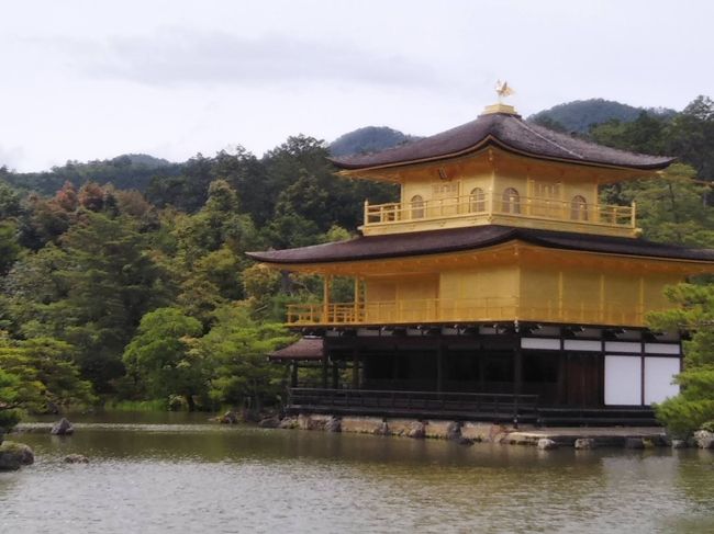 京都観光(金閣寺&伏見稲荷大社)No.1/2金閣寺