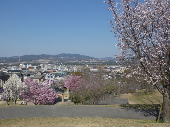 京田辺 田辺公園(Tanabe Park, Kyotanabe, Kyoto, JP)