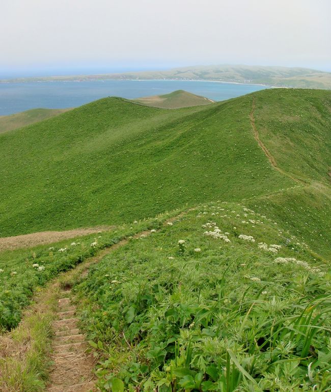 花の浮島：礼文島は、その名の通りお花が咲き乱れる夢のような風景が見られます。<br />トレッキングコースは色々あって、歩きながら景色やお花を楽しむ至福の時間を過ごせます。<br />後編では、４時間コース（岬めぐりコース）を紹介します。<br />