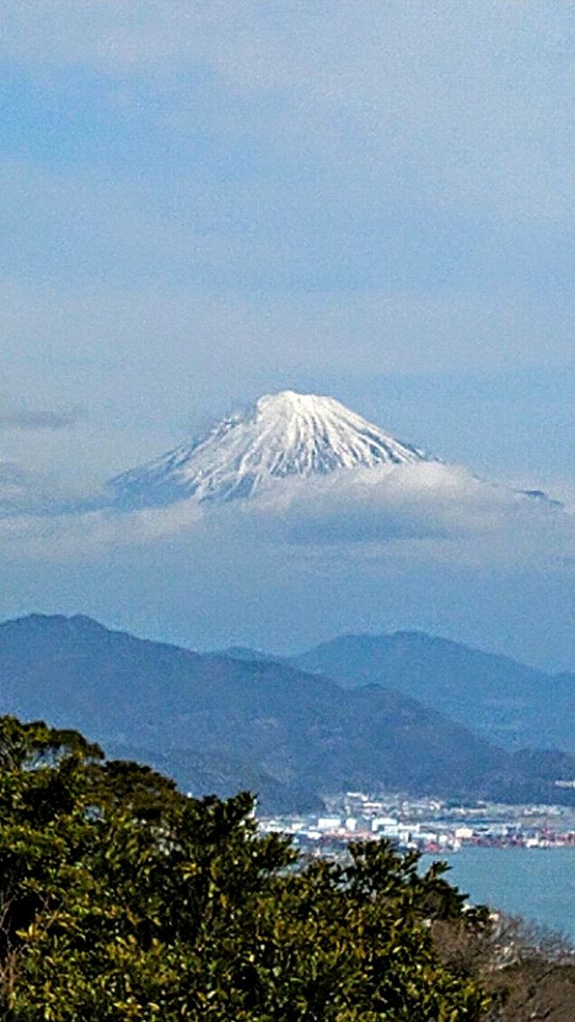 2020年2月20日　友人3名で静岡へ、日帰りバスツアーに行ってきました。この頃のコロナ状況は、あちこちで感染者が出始めた頃。とはいえ、日本全体では累計でも100人に満たない数でした。友人とも、どうする？行けそう？せっかくだし行っちゃう？と行く方向で相談（笑）結局、ツアーは「除菌等の配慮をしながら催行する」とのことで、行ってきちゃいました！(^o^)　この時には、こんな事になるとは夢にも思っていませんでした。何事もなく、楽しく行って来れて良かった～と、今は思っています。