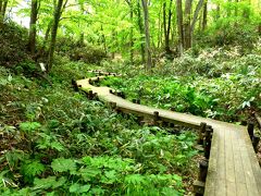 巣籠り太り？解消へ・・公園散歩