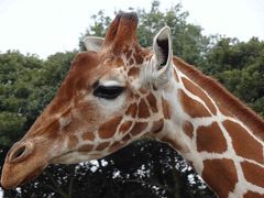 東武動物公園へ行ってきました！[後編]（2019年12月）