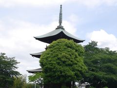 ５月の安行散策☆持宝院・西福寺・赤山城跡・赤山山王日枝神社☆2020/05/25