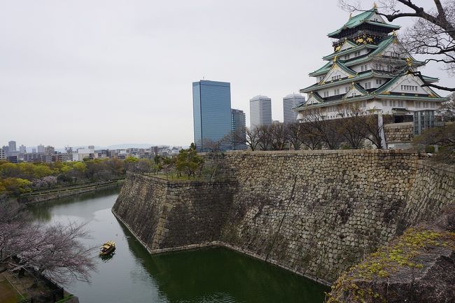サクッと大阪城に桜を見に行ってきました。<br />勿論、マスク、手洗い、うがい、しっかり予防です。<br />画像は、大阪城@大阪城公園にてです。<br /><br />過去の大阪・大阪市中央区散歩記。<br /><br />関西散歩記~2020-2 大阪・大阪市中央区編~<br />https://4travel.jp/travelogue/11622486<br /><br />関西散歩記~2020 大阪・大阪市中央区編~<br />https://4travel.jp/travelogue/11621048<br /><br />関西散歩記~2019 大阪・大阪市中央区・西区編~<br />https://4travel.jp/travelogue/11613533<br /><br />大阪まとめ旅行記。<br /><br />My Favorite 大阪 VOL.7<br />https://4travel.jp/travelogue/11625308<br /><br />My Favorite 大阪 VOL.6<br />https://4travel.jp/travelogue/11593942<br /><br />My Favorite 大阪 VOL.5<br />https://4travel.jp/travelogue/11361830<br /><br />My Favorite 大阪 VOL.4<br />http://4travel.jp/travelogue/11242529<br /><br />My Favorite 大阪 VOL.3<br />http://4travel.jp/travelogue/11152287<br /><br />My Favorite 大阪 VOL.2<br />http://4travel.jp/travelogue/11036195<br /><br />My Favorite 大阪 VOL.1<br />http://4travel.jp/travelogue/10962773