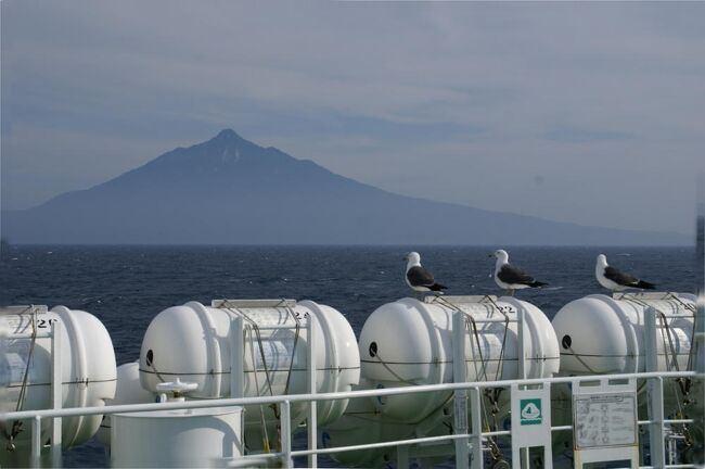 2007年9月14日8:00 稚内ノシャップ岬はまずまずのお天気だった。ところが、晴れているのになんとなく海上がもやっており、利尻島も礼文島も見えない。場所を移動して1時間ほど粘るが、やはりだめ。天塩、遠別、羽幌とオロロン街道を南下する途中でひょっとすると、と思ったが結局島影を拝むことすら出来なかった。<br /><br />そんな訳で、このことが唯一心残りの2007年北海道旅行であったが、2008年4月の朝刊に地元の旅行会社主催による「松本空港から行く利尻・礼文・宗谷5日間」という広告が目にとまる。今後、何度北海道に行っても見ることができないくらいなら、いっそ上陸してしまえ! と、いう単純な発想に基づき即日予約を入れてしまった。<br /><br />表紙の写真は2008年6月24日、稚内から礼文島へ向かうハートランドフェリーから眺めた利尻島。カモメさんも感慨深そうだ。(^^;;<br />