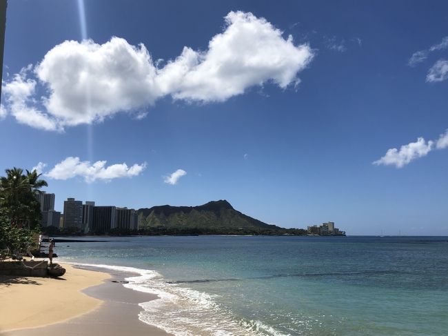 5月に入ってアイランドのクローズが6月30日までに延長されました。<br /><br />だけど、5月から少しづす島が動き出しました。<br /><br />まずはアラモアセンターなどのモールや5月14日に再オープン。<br /><br />ビーチ開きが5月15日、<br /><br />ワイケレのコーチも5月30日から空きます。<br /><br />Ross Dress やTJ MAXはすでにオープン。<br /><br />5月27日からは完全予約制で美容院が空きます。<br /><br />レストランもソーシャル・ディスタンスを開けての再開が6月から。<br /><br />ハワイアイランドへの入島には少し時間がかかるようで、<br /><br />ホテルに勤務の私たちはまだまだ、仕事に戻れないようです。<br /><br />旅行業社も同じです。<br /><br />今、島はローカルの中で再オープンしだしました。<br /><br />そんなハワイの記録を残しておきたいと思います。<br /><br />レストランなどが開いていので、旅にはお役に立たないと思いますが、<br /><br />よかったら、ご一緒にご覧ください。<br /><br />