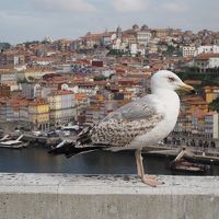 懐かしさ溢れるポルトガルの旅