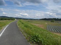 京田辺 木津川CR山城大橋上流(Kizugawa Cycling Road Kyotanabe Upper Part, Kyoto, JP)