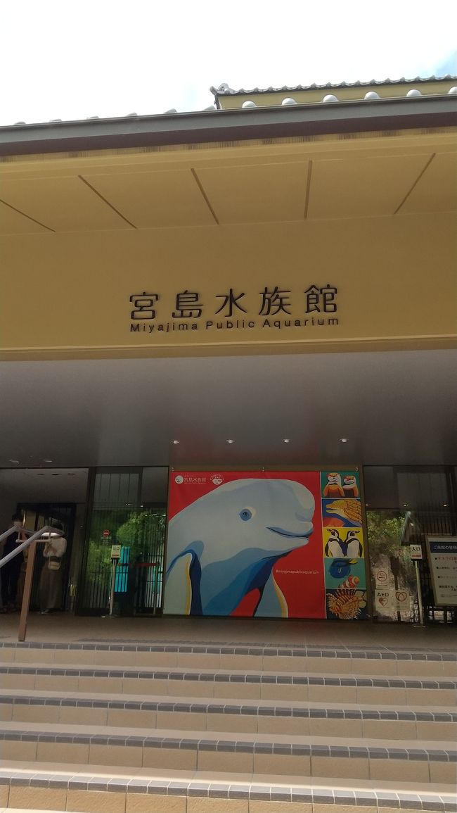 宮島の参道を回った後、水族館に行ってきました。<br />こちらも人数は少なかったですが、アシカショーも1日三回開催されてました。<br /><br />入り口ではスタッフさんによる検温がありました。この日は人数が少なかったので並ぶことはなかったですが、来館者が増えてきたら、入り口で並ぶようになるかもしれませんね。