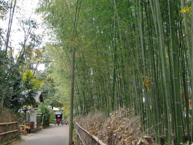 嵯峨野、そして天神さまのもみじ