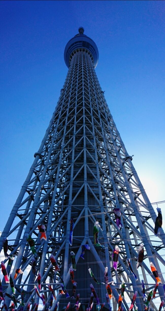 新幹線で行ってきました！<br />旅行会社で、新大阪－東京の往復チケットと、東京スカイツリーのチケットも一緒に購入しました。ただ、早々に予定変更ですw<br />東京に近付くにつれ、無性に横浜中華街に行きたくなり、寝ている旦那を起こして急遽途中下車しました。