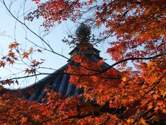 2008年 晩秋の奈良・京都旅行記