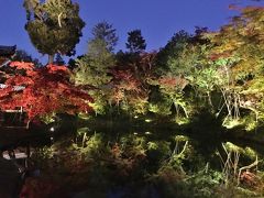 食と紅葉巡り秋の京都を満喫♪2018