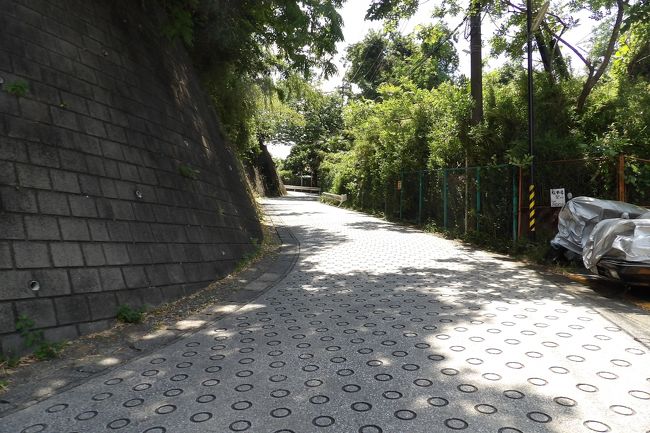 　横浜市港南区野庭町にある迎陽隧道（https://4travel.jp/travelogue/11620286）の手前から野庭団地に上る道路は急で狭い。おそらくは、昔の山道を昭和になってから野庭団地の宅地造成に伴って拡張され、舗装されたものであろう。実際に山の上で左折するのだが、右手には古い山道が残っている（https://4travel.jp/travelogue/11626041）。<br />　左折した道も昔の街道が通っていた旧道であろう。上野庭切通（https://4travel.jp/travelogue/11625999）からの街道がこの山の上の道路を通り、右手の山道に通じていたはずだ。<br />(表紙写真は迎陽隧道の手前から野庭団地に上る坂道)