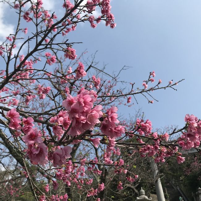 2020年1月に行った沖縄旅行。まだコロナは中国だけのお話の頃でした。<br />しばらく国内旅行もお預けだなと、寂しさを紛らわせるために、4ヶ月前の旅行記を書いてみました。<br /><br />どっか暖かいところに行きたいね。JALステイタスもあがったことだしと思い立ち<br />「きーめーた♪沖縄の海にしよーー♪」と夫婦で沖縄へGO。<br />JALのサイトでお得なパッケージプランを夫が見つけて、1週間後に出発。<br />沖縄は、年1回ペースくらいで行っているので、気軽にピュッと、行き当たりばったり。<br />ホテル滞在と、食べて飲んだ情報だけの旅行記です。<br />