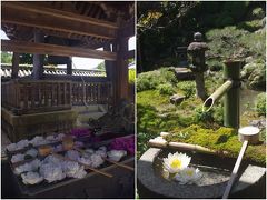 新緑の中　眼の観音様柳谷観音楊谷寺　花手水の彩り