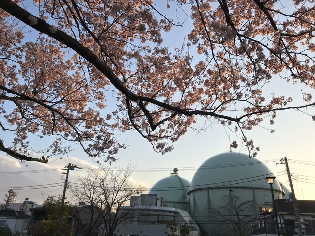 都立芦花公園<br />新宿献血<br />京王百貨店