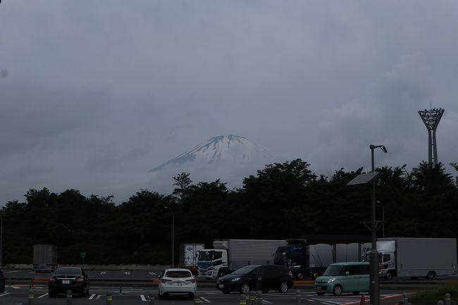 今日は、久しぶりに高速道路を走って<br />富士山へドライブに出かけてきました。<br />御殿場で高速を降りて、河口湖方面へ<br />ドライブ。<br />以前出かけたハーブ庭園旅日記がとても素敵だったので<br />出かけてみた。<br />お土産屋さんなどはクローズでしたが<br />お庭は解放されていてみることができました。<br />カモミールが今満開です。<br />富士山は残念ながら天気が悪くて<br />見ることができませんでしたが<br />久しぶりに大好きな富士山周辺をドライブ出来ました。