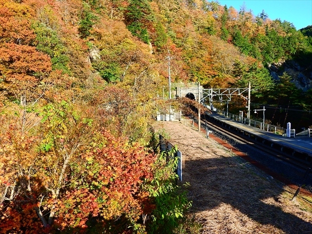 面白山紅葉川渓谷の紅葉