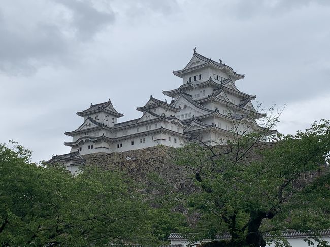 関西での仕事も終わり地元の戻る道中に寄り道して、緊急事態宣言も解除され姫路城の一部公開が再開されたので見学のため姫路に宿泊して朝に姫路の街をジョギングした。