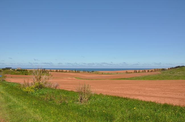 母と娘と赤毛とアン　in PEI　～１日目～