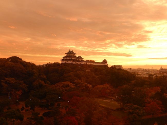 47都道府県目の訪問は和歌山県でした。<br /><br />主な目的は熊野古道でのトレッキングでしたが、宿泊は市内にしました。ホテル目の前の夕暮れの和歌山城がとても美しい。<br /><br />夕食は酒場放浪記に出てきそうな、いい感じの居酒屋です。翌日は熊野に行くため朝早いので沢山呑めなかったのが残念でした。<br /><br />和歌山から紀伊田辺までは電車での移動です。海沿い走る車窓からの朝焼けも美しかった。<br />