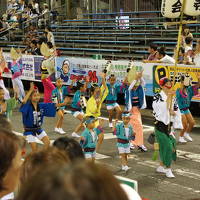 2018年夏 本場の阿波踊りを見に行きたい！② 本場の阿波踊り