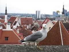 バルト３国８日間の旅（６）タリン市内観光、飛行艇埠頭博物館