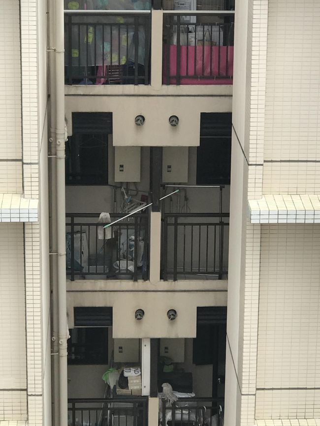 今回は香港から関西空港まで高校の先輩と一緒の飛行機でした。人と一緒に行動するということが少ないのでなんか新鮮でした。当然先輩はビジネスクラスでした。今回は関西地方のみの出張です。京都、大阪、滋賀など行ってきました。実質5日間でしたが、充実した出張でした