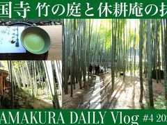 報国寺 竹の庭と休耕庵の抹茶