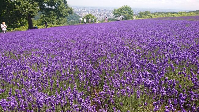 北海道の春夏秋冬 定番観光地とガイドブックに載らない穴場スポットをご紹介 倶知安 くっちゃん 北海道 の旅行記 ブログ By Ginza Minowa コッネイ さん フォートラベル