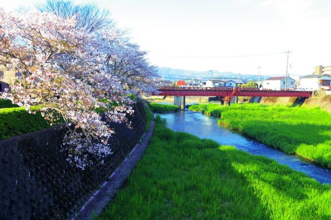 人吉市内を観光しつつ駅まで歩いて、また肥薩線に乗り肥後から薩摩へ移動しました。<br />旅行記グループ(桜+私鉄+α九州満喫鈍行旅)のpart8になります。