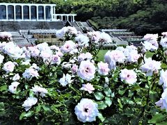 ２０２０年兵庫の初夏の花々、加西の県立フラワーセンター～神戸の須磨離宮公園を歩きます！