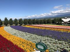 北海道紀行　富良野の大地に癒されて