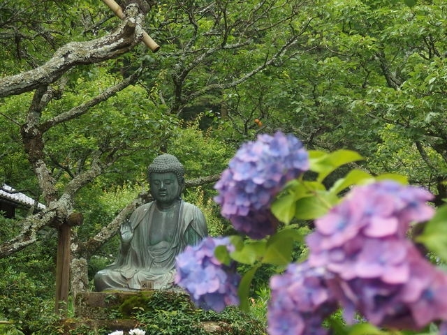 カマクラ　寺さんぽ編