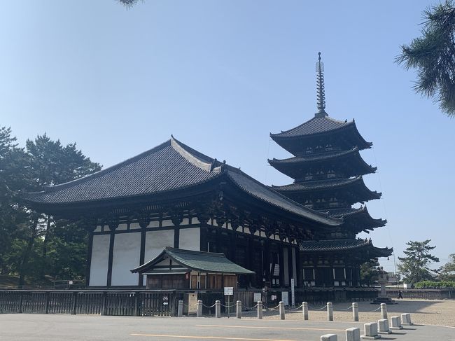 奈良駅前のホテルから奈良公園の春日大社、東大寺、興福寺までを朝ラン。