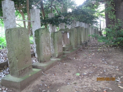 北星神社の御祭神 天之御中主大神（北辰妙見尊星王）　御由緒　　北星神社は明治9年に改称されるまでは「妙見宮」と呼ばれていた。中世に相馬氏が所領していた時代の創建で、祭神は天之御中主を奉祀、本尊妙見菩薩。相馬・千葉氏に関わる城館には妙見菩薩を祀る宮があったとされている。しかし、伝承ではここから北西に根切の田があり、そこから出土した妙見様が花戸原の妙見塚を経て現在地に祀られたという。社殿がつくり替えられたが、旧社殿の造営は、棟札並び基檀部に、天保4年（１８３３）と記され、棟札には再建とあるので、それ以前から宮があったのは確かである。明治41年2月に本県知事の許可を経て無格社６社を合祀しています。境内案内板　より<br />千葉県我孫子市台田四丁目11番27号、北柏駅より徒歩６分。<br />参考にさせていただいたブログは下記です。<br />石仏神心　108　北総石仏　我孫子の石仏　根戸・台田に詳しく書かれています。<br />http://sekibutu.blogspot.com/<br />