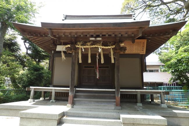 　横浜市南区別所2に鎮座する白山神社は往古の由緒は明かでないが、古来よりこの地に鎮座し、別所一帯の産土神社として崇敬を受けてきた。<br />　明治6年（1873年）村社に列せられ、明治20年（1887年）社殿を再建した。明治41年（1908年）村内の日枝神社・伊勢社・八幡社・浅間社・山神社の5社を合祀した。その後、屋根を瓦葺にしたが、平成4年（1992年）銅葺き屋根に葺替した。<br />　境内社・秋葉神社、稲荷神社の2社の他に、大神宮祠・浅間神社祠・陽石祠・庚申塔（https://4travel.jp/travelogue/11627197）がある。しかし、白山神社入口横の信号前には交番があり、その横にも庚申塚（https://4travel.jp/travelogue/11611034）がある。山道を下りてきて、境内に入って石段を下りるルートと境内に入らず神社の横の道を下りてくるルート2つのルートがあったということか。<br />　境内には名木古木が多くあり、横浜市の指定を受けている。<br />　この春にも、この辺りを通ったが白山神社には参拝しなかった。敢えてまた、上大岡駅西口から山を一つ越えて来た。途中の山の山頂手前のマンション前で、横浜白山幼稚園のスクールバスが園児を降ろしていた。まだ、山の頂上を越えて、谷を下らなければならないために、このバスが羨ましく思われた。<br />（表紙写真は白山神社拝殿）