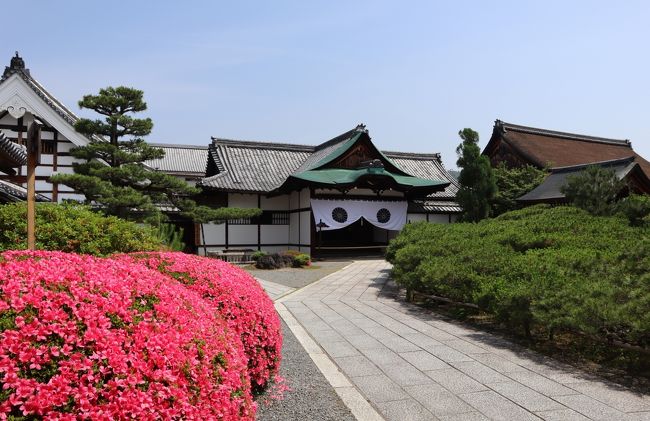 京都・嵯峨野をぶらぶらしてきました。