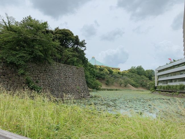 横浜に行けるのはいつの日になるのか？<br />5月最終週は江戸城の天守台に向かって歩いてみた。<br />早稲田から、徒歩で約7㎞のウォーキング