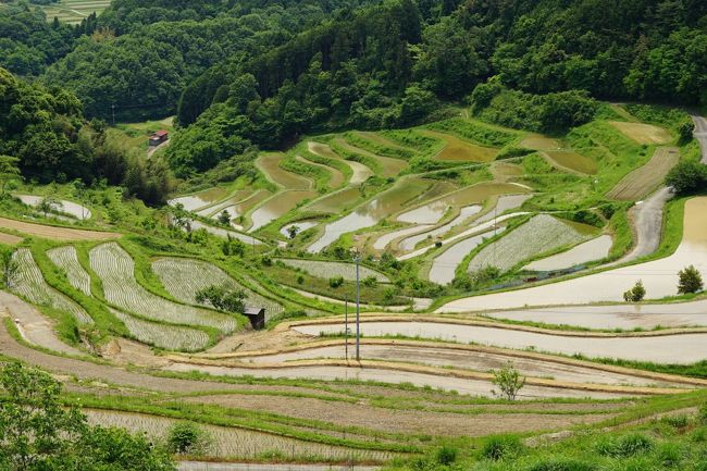 コロナ禍で全国に緊急事態宣言が発令されている間、旅は控えていました。現在住んでいる岡山県は５月14日に緊急事態宣言が解除。県内での旅行が可能となったことから出掛けることに。ちょうど田植えの時期、岡山県内に４か所ある棚田百選めぐりを思い立ちました。棚田巡りだけなら日帰り可能なドライブコースですが、岡山県の観光業に少しでも貢献しようと泊りにし、少し足をのばしました。これまで訪問していなかったスポットを中心にマイカーで巡る旅。灯台元暗し、新たな魅力を発見しました。<br /><br />【行程】<br />・５月30日（土）<br />岡山市内→誕生寺→北庄の棚田→上籾の棚田→大垪和西の棚田→奈義町現代美術館→城東町並み保存地区　＜津山市泊＞<br />・5月31日（日）<br />津山市内→湯原温泉砂湯→足温泉→旧遷喬尋常小学校→小山の棚田→岡山市内