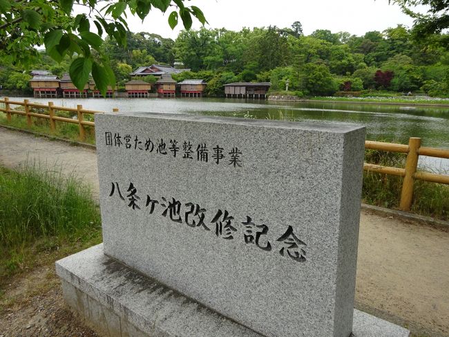 昨日は一人で万博公園。今日は急遽、奥さんと二人で長岡天満宮に出かけることになりました。天気は曇り空でちょっと暑いくらい。八条が池と長岡天満宮を回ってその後ランチを食べて帰りました。<br /><br />長岡天満宮の訪問は初めて。これからスタート、どんな所かな？