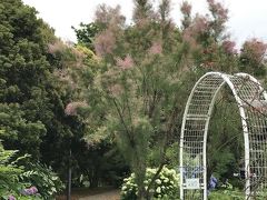 花を求めて　弁天ふれあいの森公園