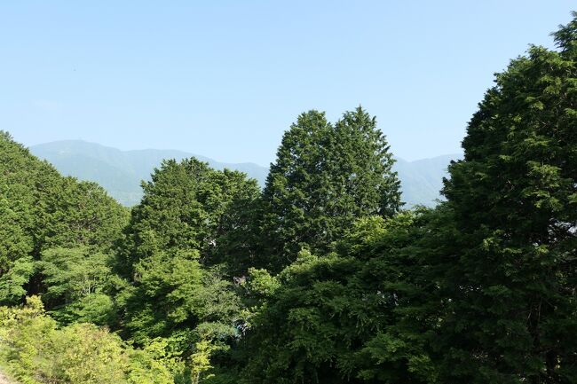 初夏の箱根♪　Vol.9　☆レジーナリゾート箱根仙石原：テラスから朝の美しい風景♪